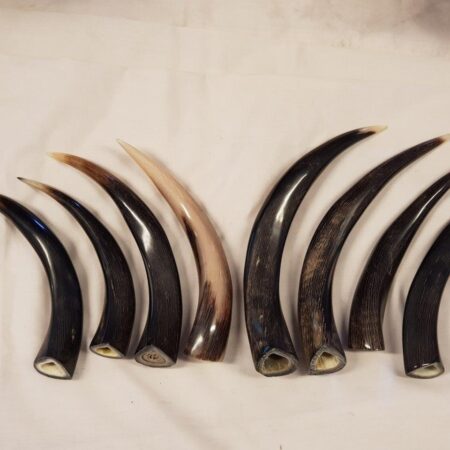 Kudu Horn