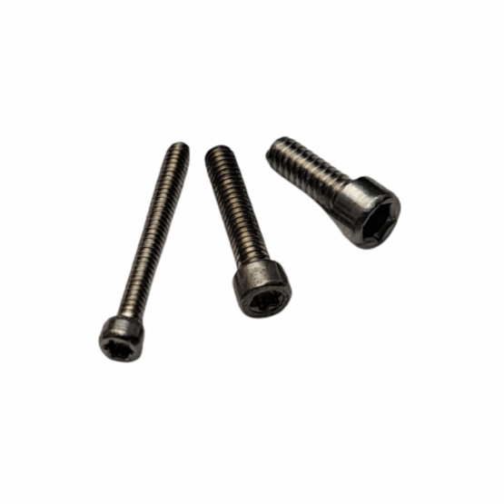 Socket Head Stainless Steel Torx Screw 10 Pack