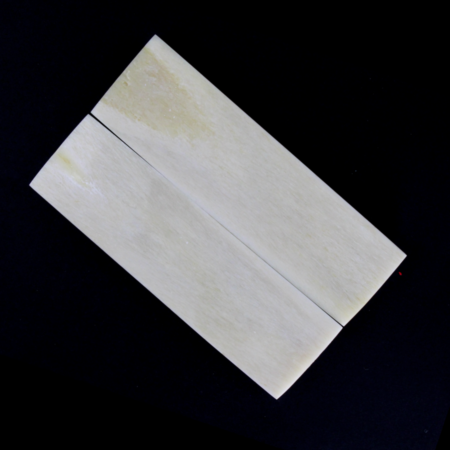 Bones Scale white 5 Bottom View