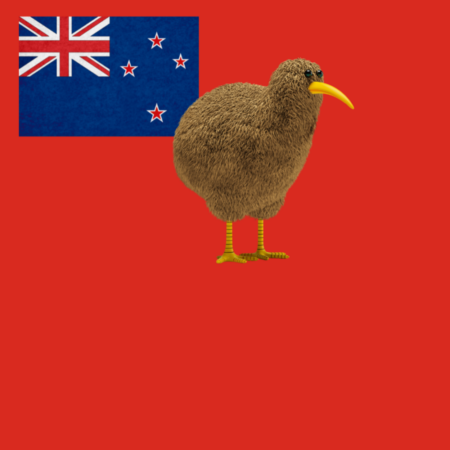 New Zealand Clearance items