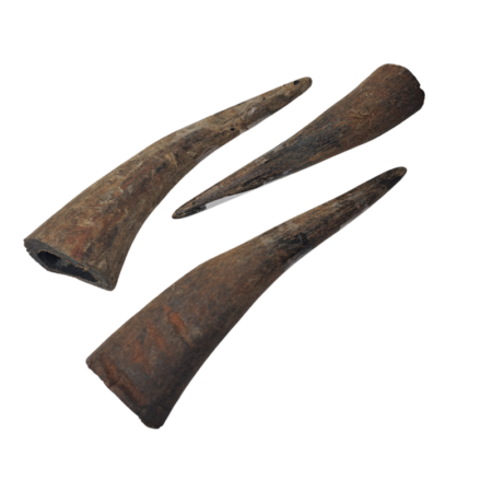 Natural Buffalo Horn in Assorted Sizes